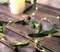 Olive Branch Christmas Garland String Lights 10FT 40 White LED Lighted